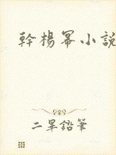 干杨幂小说
