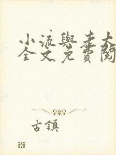 小流与老太小说全文免费阅读