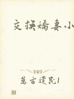 交换娇妻小说