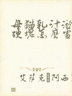 母猫乳汁淤积有硬块怎么处理封面