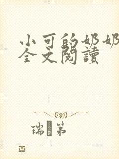 小可的奶奶小说全文阅读封面