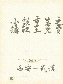 小说重生之大明摄政王免费阅读封面