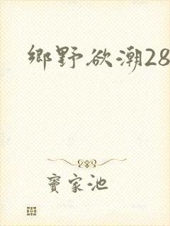 乡野欲潮28章