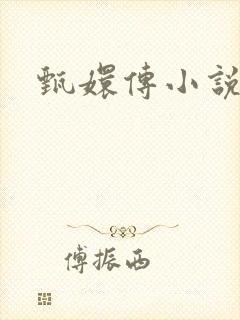 甄嬛传小说封面