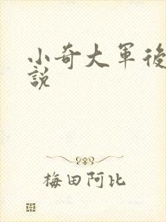 小奇大军后妈小说
