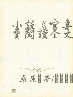 小说《官妻》免费阅读全文