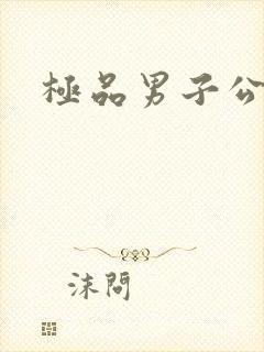 极品男子公寓封面
