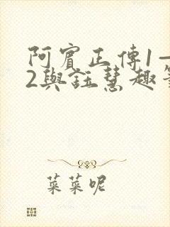 阿宾正传1—72与钰慧趣笔阁