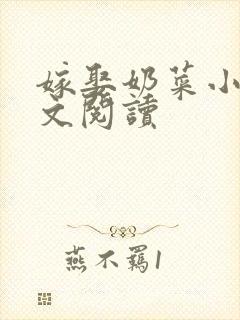 嫁娶奶菜小说全文阅读