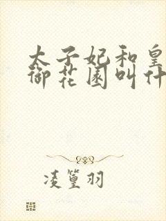 太子妃和皇帝在御花园叫什么小说封面