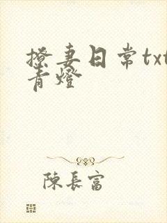 撩妻日常txt青灯