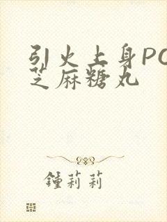 引火上身POP芝麻糖丸
