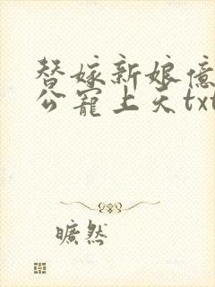 替嫁新娘亿万老公宠上天txt全文下载