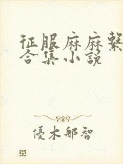 征服麻麻系列大合集小说