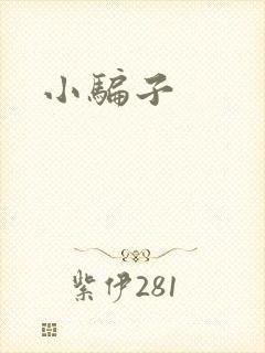 小骗子