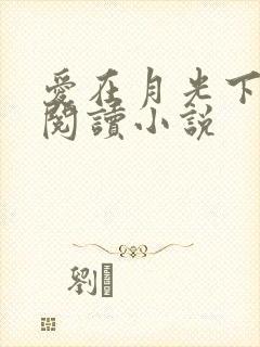 爱在月光下全文阅读小说