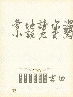 爹地请你温柔点小说免费阅读