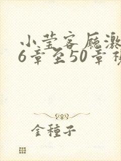 小莹客厅激情46章至50章视