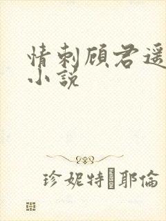 情刺顾君遥原著小说