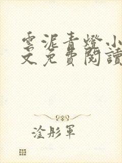 云泥青灯小说全文免费阅读无弹窗