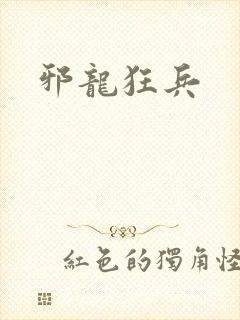 邪龙狂兵封面