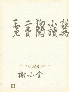 王二狗小说全文免费阅读无弹窗