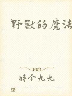 野兽的魔法师封面