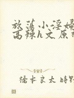 放荡小淫妇h文高辣h文原神