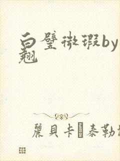白璧微瑕by连翘