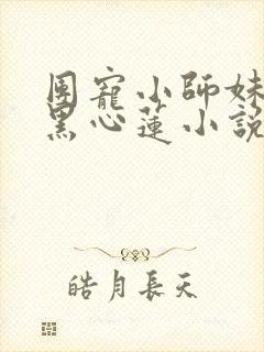 团宠小师妹是朵黑心莲小说