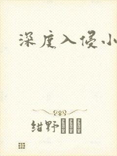 深度入侵小说