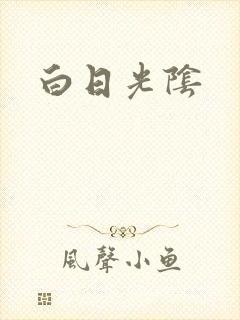 白日光阴