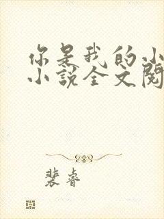 你是我的小确幸小说全文阅读