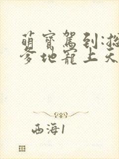 萌宝驾到:总裁爹地宠上天