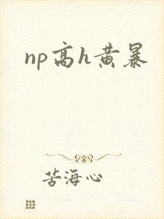 np高h黄暴