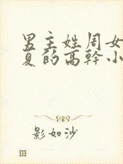 男主姓周女主姓夏的高干小说