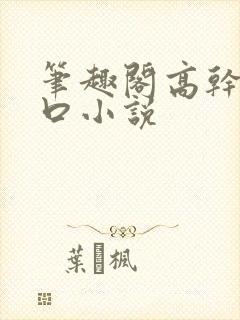 笔趣阁高干文入口小说封面