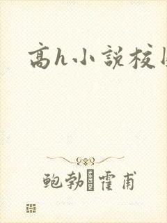 高h小说校园