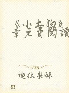 《小土狗》96章免费阅读下载封面