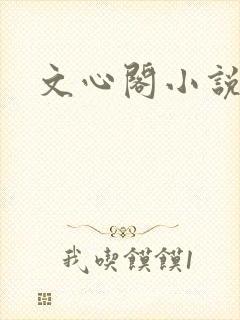 文心阁小说
