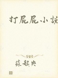 打屁屁小说封面