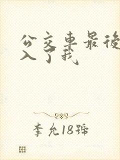 公交车最后一排入了我