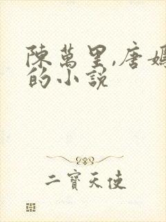 陈万里,唐嫣然的小说