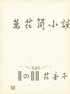 万花筒小说