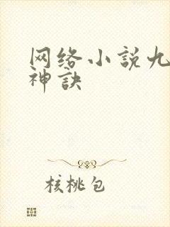 网络小说九天斩神诀