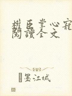 权臣掌心宠免费阅读全文封面