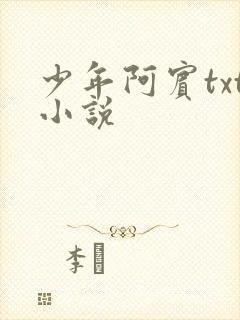 少年阿宾txt小说封面