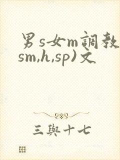 男s女m调教(sm,h,sp)文