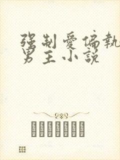 强制爱偏执疯双男主小说