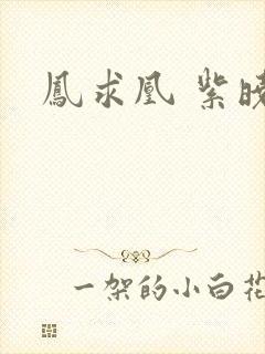 凤求凰 紫晓
